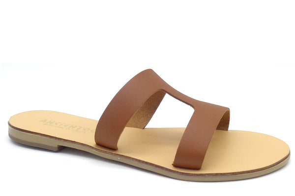 Ancientoo Slides Bia-1