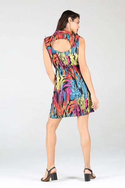 Multi-Color Sleeveless Dress - Isleitudes